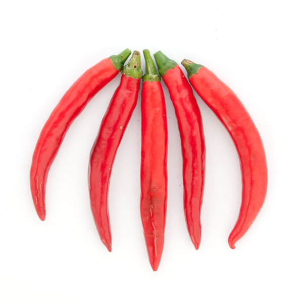 Chili rot, groß / Thailand, 100g