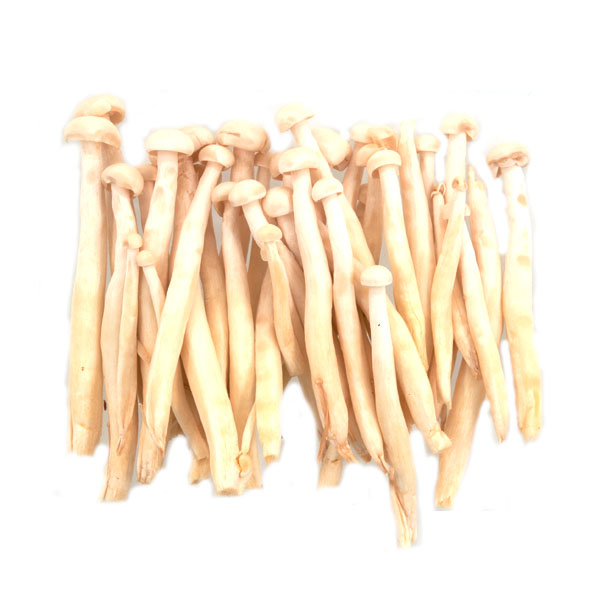 Weißer Schnee-Pilz / China 150g